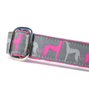 Pink and Grey Sighthounds over Grey Background Sighthound Love Dog Collar Slant