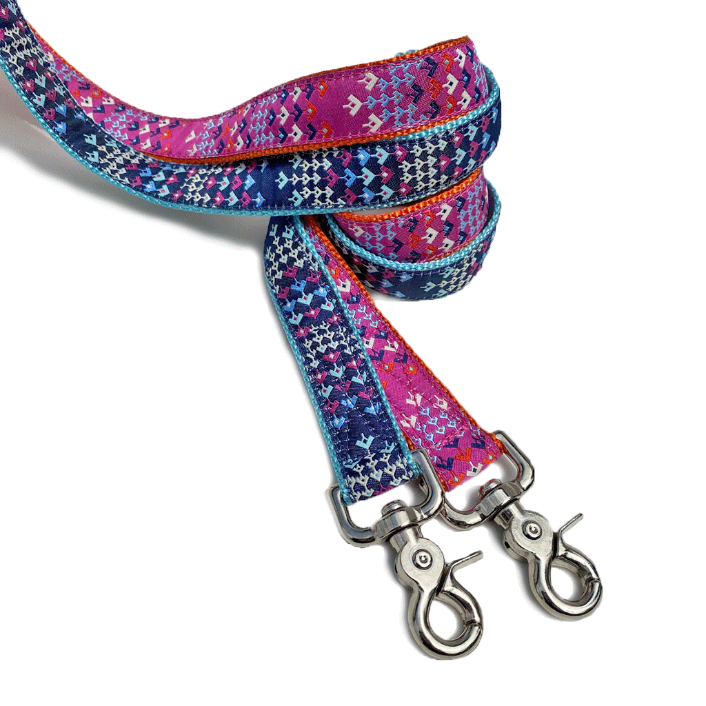 Prismatic Leashes