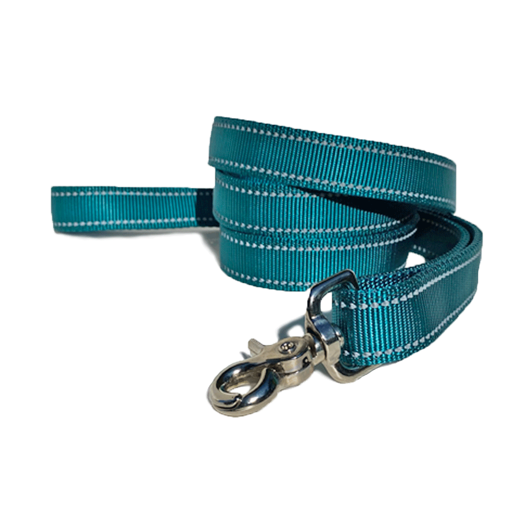 1" Reflective Teal Leash