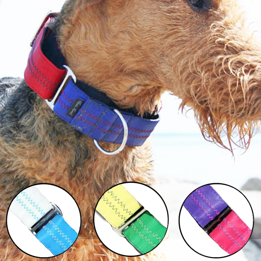 Sailcloth Regatta Martingale Collar