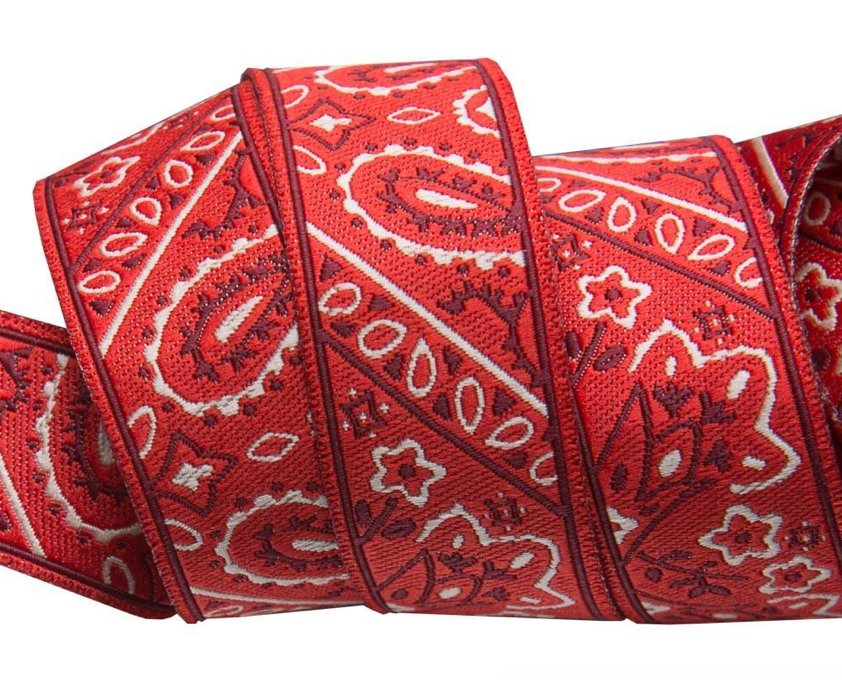 1" Red Bandana Leash