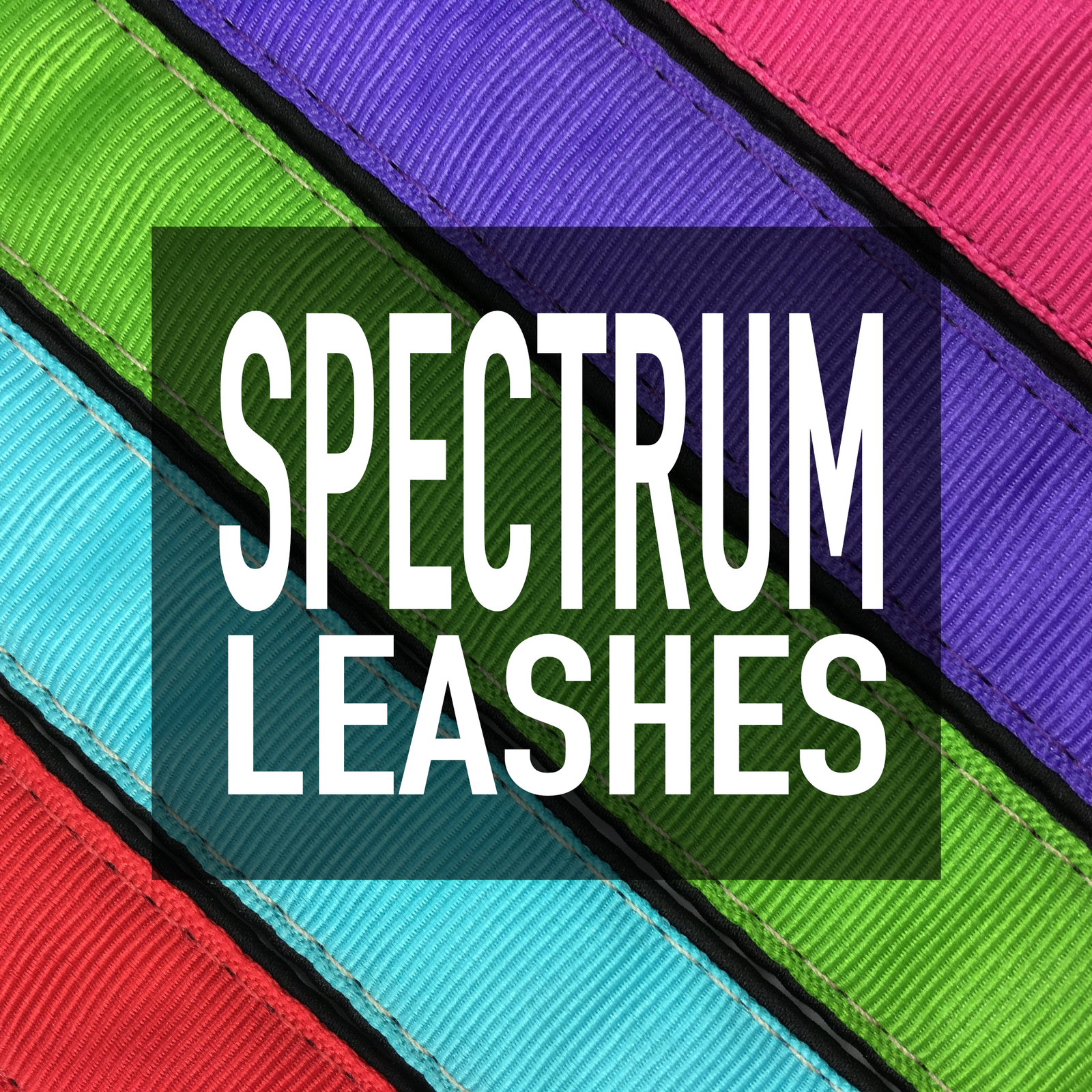 Spectrum Leash