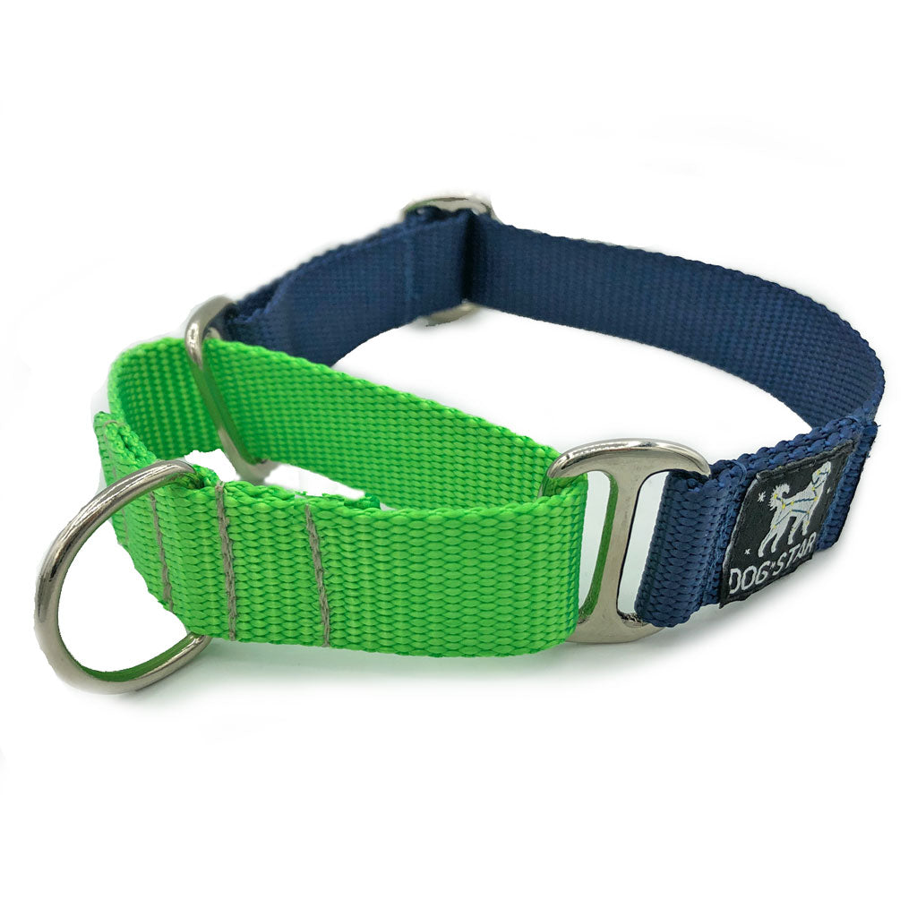 1" Blue and Green Nylon Webbing Martingale Dog Collar