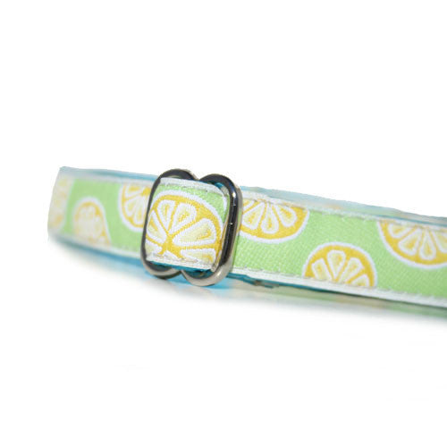 Citrus Collar (5/8" Width Only)
